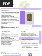 Regulamento Labirinto Das Espirais