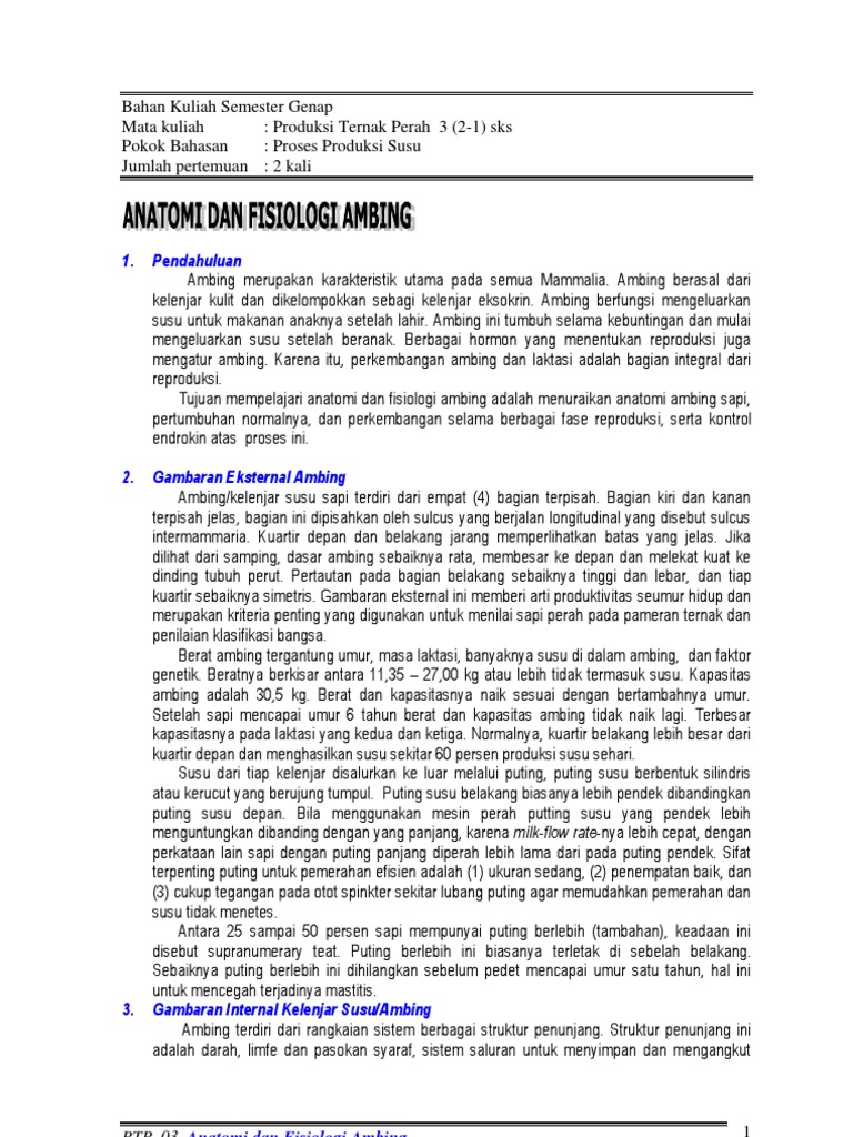 Anatomi Ambing Sapi Perah | PDF | Kesehatan Holistik