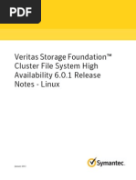 Veritas SF Cluster File System 6.0.1