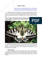  Fluturi si molii.pdf