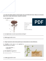 Ficha de Avaliacao CN5 Plantas PDF