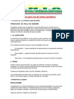 Consejos para Cria de Pollos Parrilleros