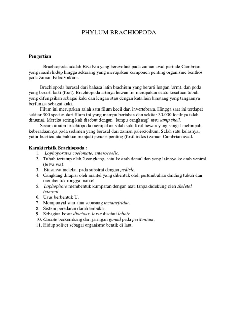 Phylum Brachiopoda