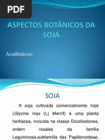 Aspectos Botanicos Da Soja