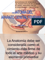 Anatomia e Histologia Del Aparato Genital Femenino