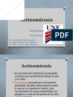 Actinomicosis 121009132243 Phpapp01