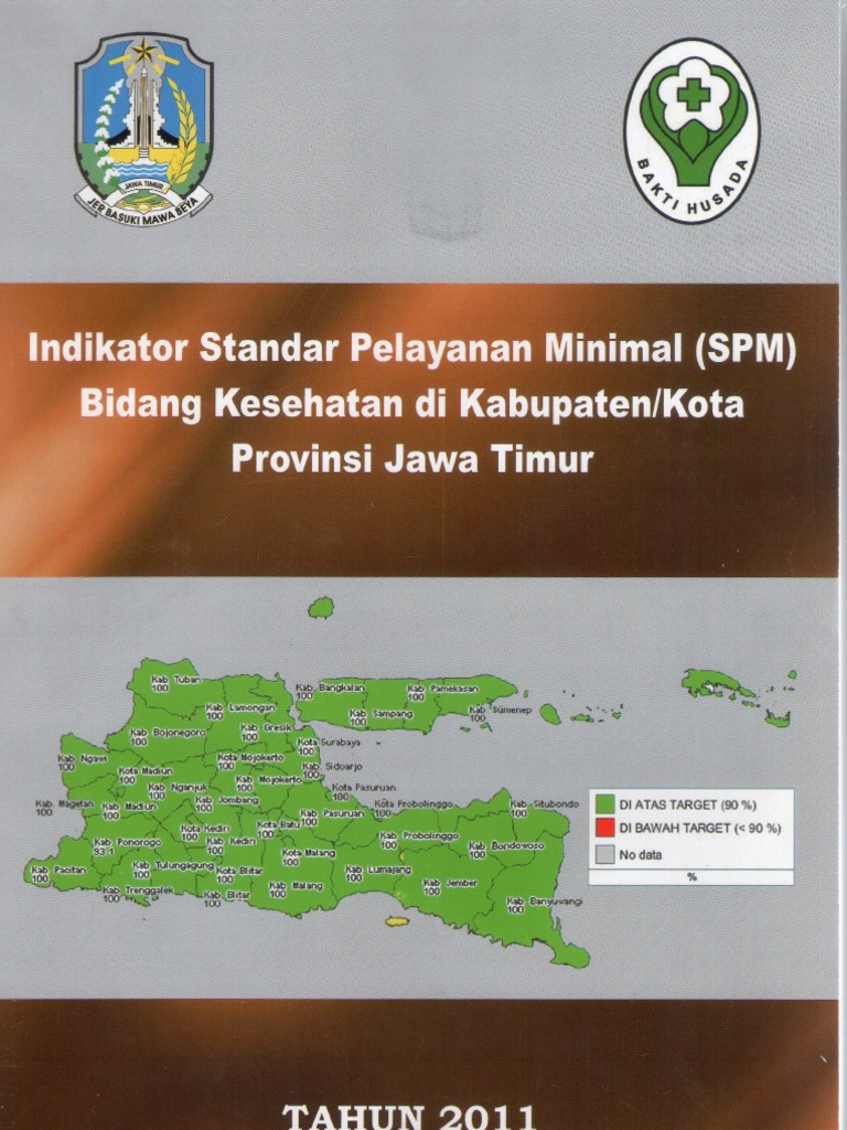 Indikator Standar Pelayanan Minimal SPM Bidang Kesehatan 