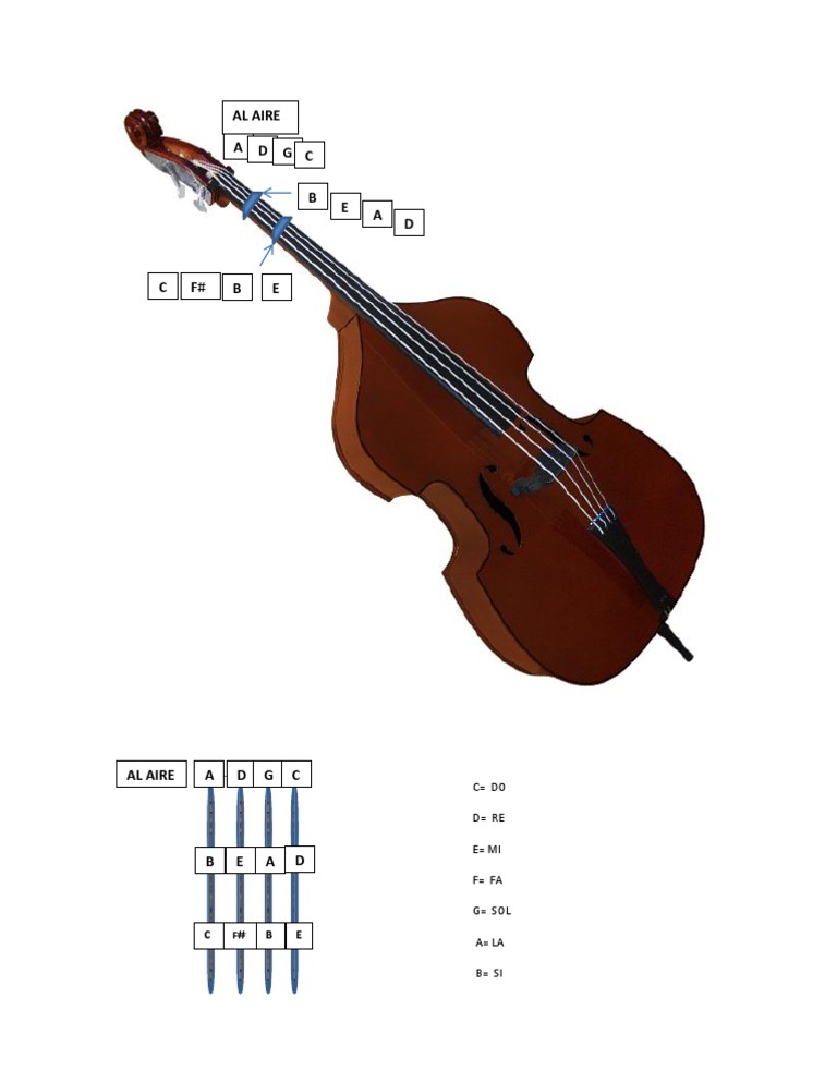 Tololoche Con Notas PDF