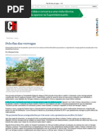 Pelo fim das verrugas — CH.pdf