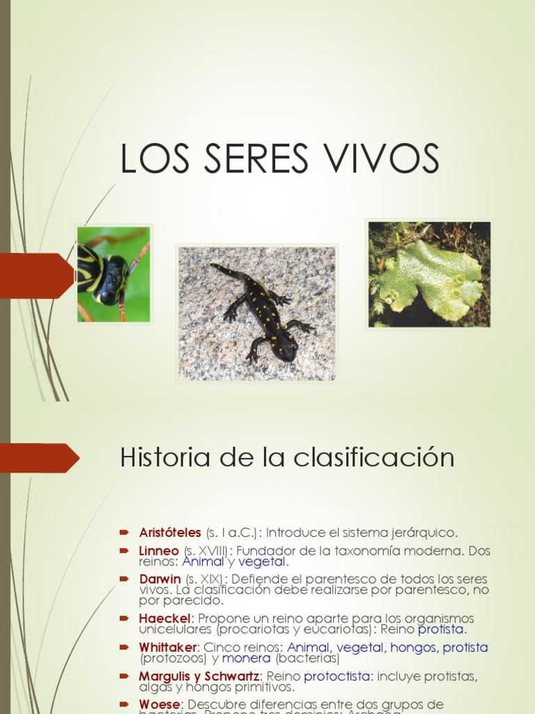 CLASIFICACIÓN DE LOS SERES VIVOS Prof Jairo Taxonomía