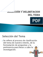 Selecci N y Delimitacion Del Tema