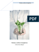Plantas y Cultivos Transgenicos