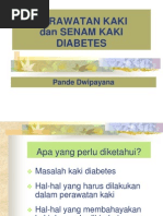 Download Perawatan Kaki Diabetes Dan Senam Kaki by Eva Primananda SN145580382 doc pdf