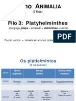 Vermes parasitas 1 2011