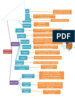 Mapa Conceptual Sistema Digestivo