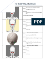 Msa - The Sub - Occipital Muscles