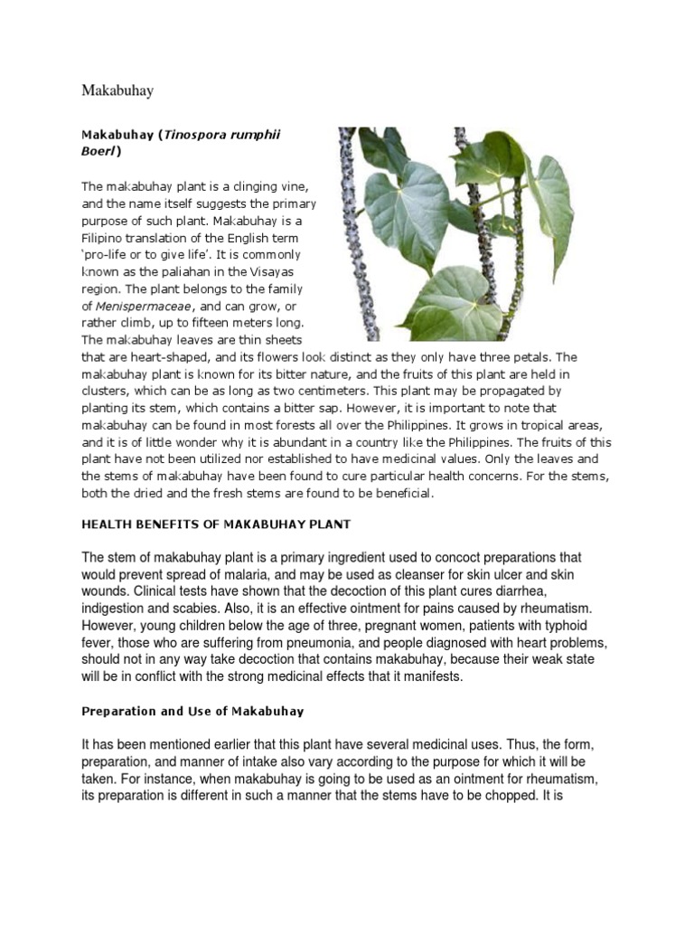 Makabuhay.docx Oregano Allergy