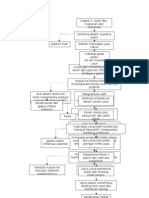 Patogenesis Demam Tifoid