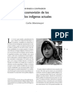 La Vision de Los Pueblos Indigenas Actuales