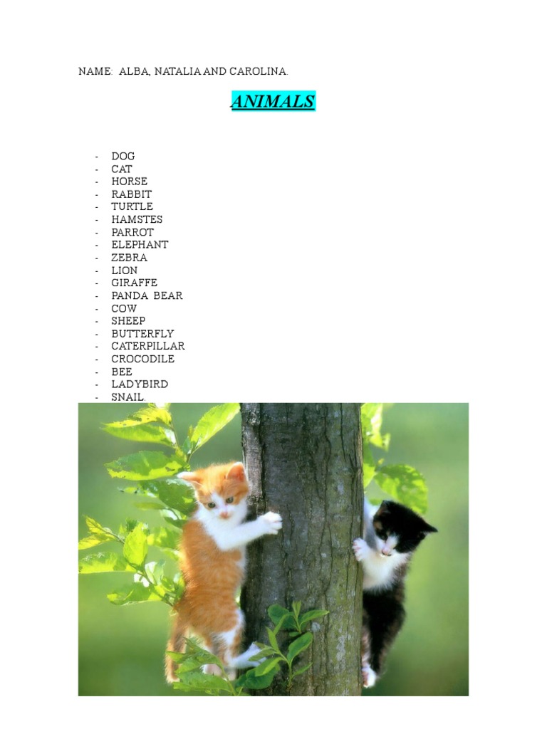 Animal Names and Their Young Ones | PDF
