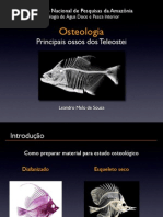 Osteologia