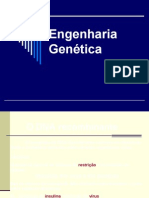 11 Engenharia Genética