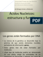 ACIDOS NUCLEICOS