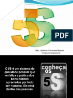 Palestra 5S - Defensoria Pública