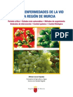 1197-Texto Completo 1 Plagas y Enfermedades de La Vid en La Región de Murcia PDF