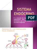 Sistema Endócrino