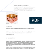 Documento Tecido Contutivo Word