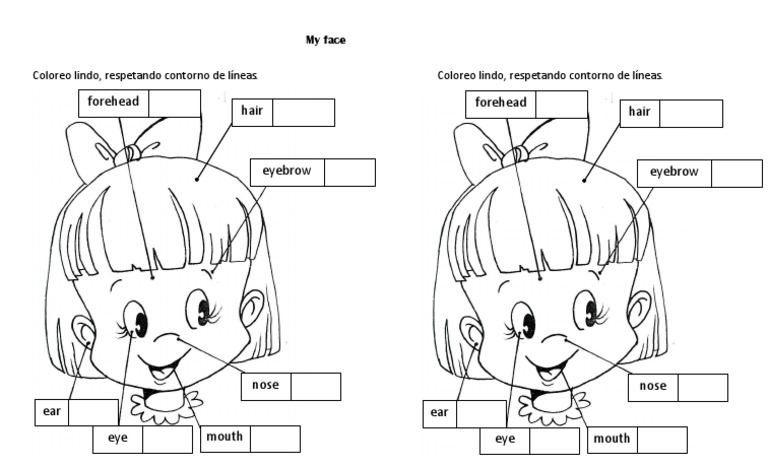 Partes Del Rostro | PDF | Artes del Lenguaje y Comunicación