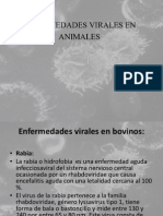 ENFERMEDADES VIRALES EN ANIMALES.ppsx