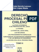 Horvitz Maria Ines Lopez Julian - Derecho Procesal Penal Chileno Tomo II