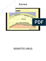 Keratitis Virus