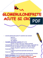 45109778 Glomerulonefrite Acute Cronice