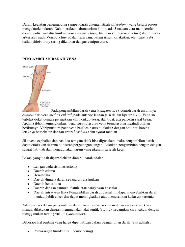 Dalam Kegiatan Pengumpulan Sampel Darah Dikenal Istilah Phlebotomy Yang Berarti Proses Mengeluarkan Darah