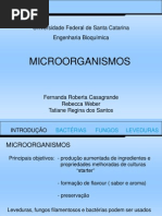 microrganismos-1207937147375096-9