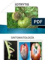 BOTRYTIS PP.pptx