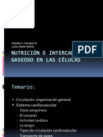 Circulación