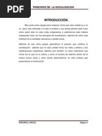 Principios de La Socializacion