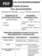 1. Caracteristicas Dos Microrganismos