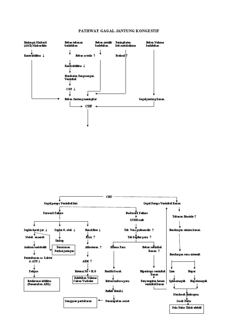 Pathway of Congestive Heart Failure | PDF
