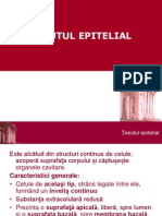 Tesutul Epitelial 1