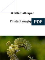 Il Fallait Attraper L'instant Magique-RH-LISTEA