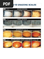 Efron Grading Scales For Contact Lens Co | PDF