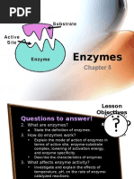 Download Pure Biology Chp 5 Enzymes by hamsterish SN14581967 doc pdf