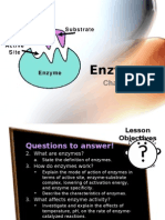 Pure Biology Chp 5 Enzymes