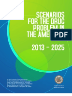 Scenarios For The Drug Problems in The Americas