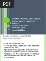 Cuidado parental e acasalamento em peixes e anfíbios Seminario de Thales